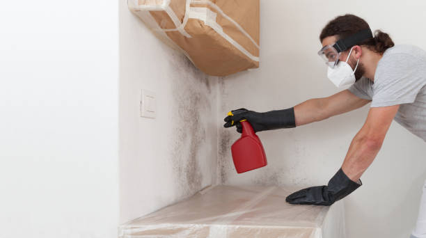 Professional Bathroom Mold Removal technician working in Blue Point, NY